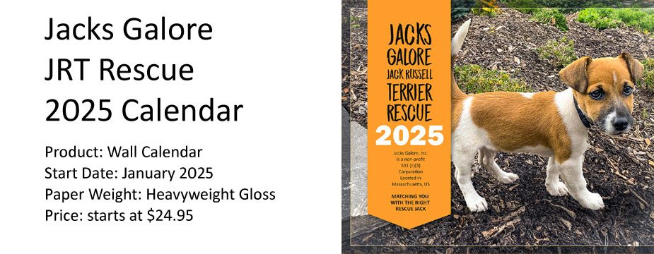 Jacks Galore 2025 Calendar