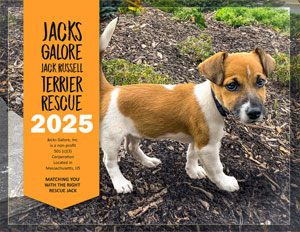 Jacks Galore 2025 Calendar